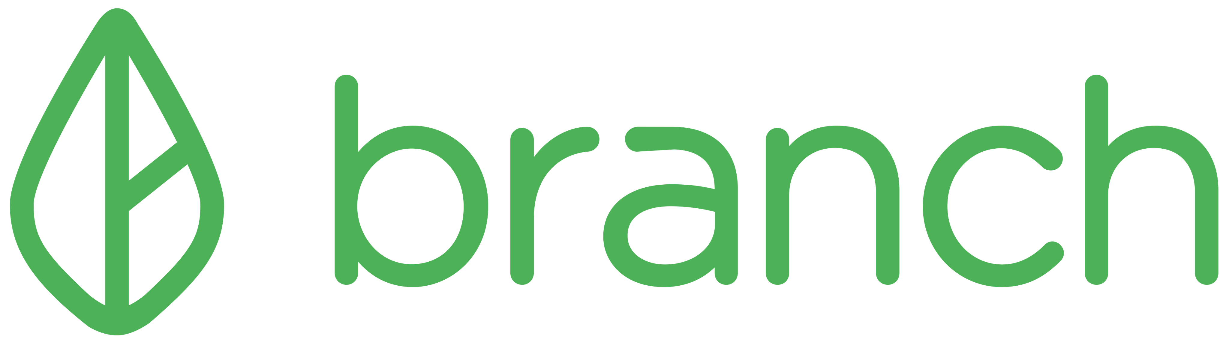 Branch