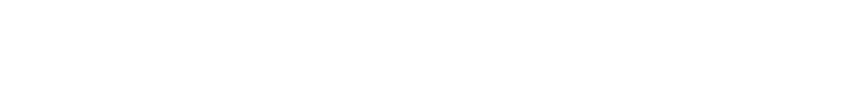Vida Estilo Restaurant Group