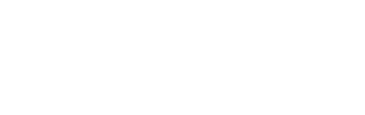 Pancheros Mexican Grill